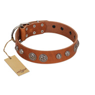 "Era Infinitum" FDT Artisan Tan Leather Golden Retriever Collar Adorned with Chrome-plated Circles