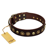 "Street Fashion" FDT Artisan Brown Leather Golden Retriever Collar Adorned with Circles and Skulls