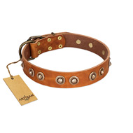 "Precious Relic" FDT Artisan Tan Leather Golden Retriever Collar Adorned with Old Bronze Look Studs