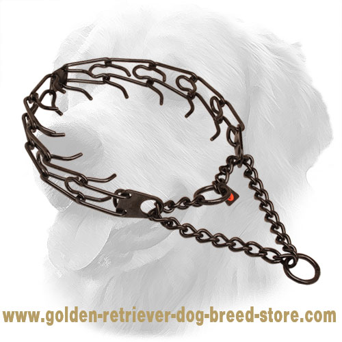 Black Prong Dog Collar of Stainless Steel
