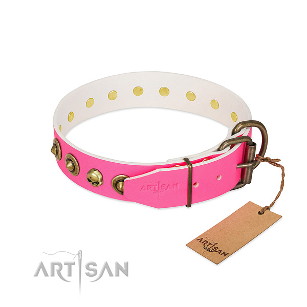 Full grain leather collar with awesome studs for your dog