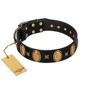 "Doggie Woggie" Designer Handmade FDT Artisan Black Leather Golden Retriever Collar with Ovals and Studs