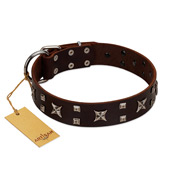 "Bigwig Woof" FDT Artisan Brown Leather Golden Retriever Collar with Chrome Plated Stars and Square Studs