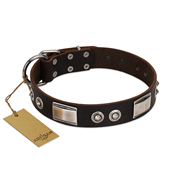 "Baller Status" FDT Artisan Brown Leather Golden Retriever Collar Adorned with a Set of Chrome Plated Studs and Plates