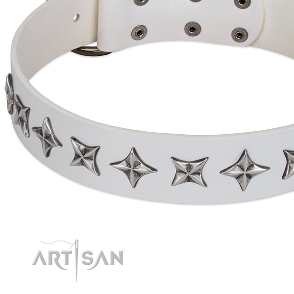 Daily walking decorated dog collar of finest quality full grain natural leather