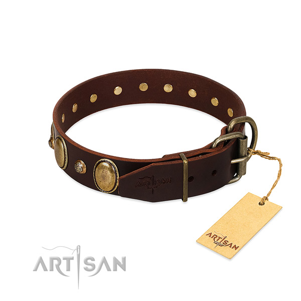 Corrosion resistant traditional buckle on natural genuine leather collar for everyday walking your canine