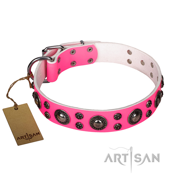 Walking dog collar of durable leather with decorations