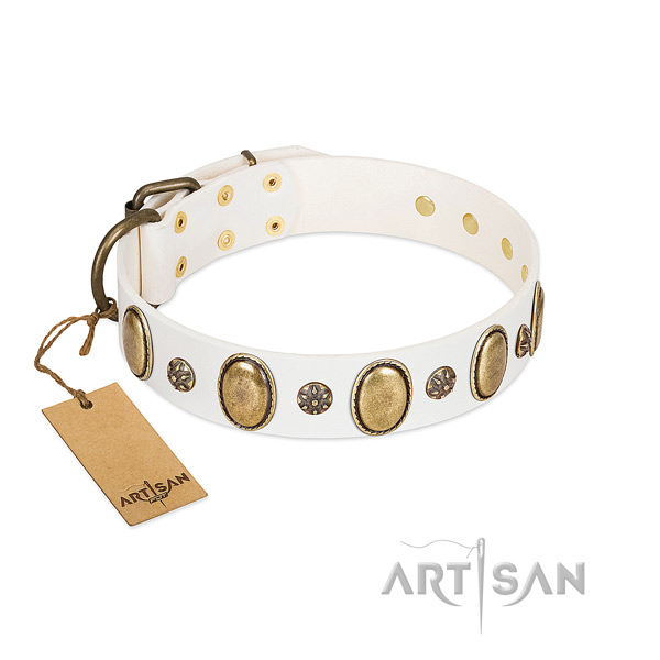 Daily use top rate full grain genuine leather dog collar