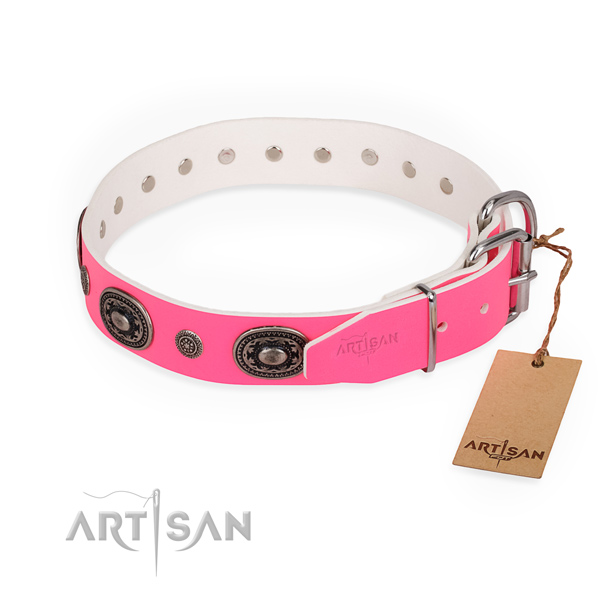 Walking adorned dog collar with durable traditional buckle