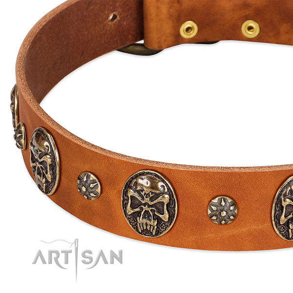 Rust resistant decorations on leather dog collar for your pet