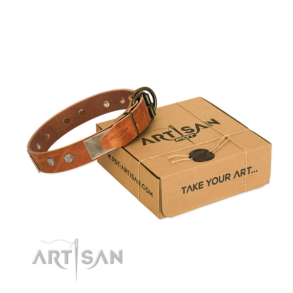 Corrosion proof D-ring on dog collar for walking