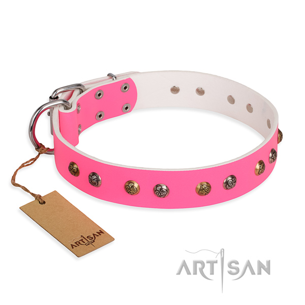 Walking exquisite dog collar with corrosion resistant hardware