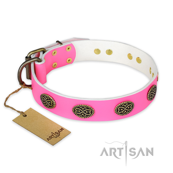 Incredible natural genuine leather dog collar for everyday walking