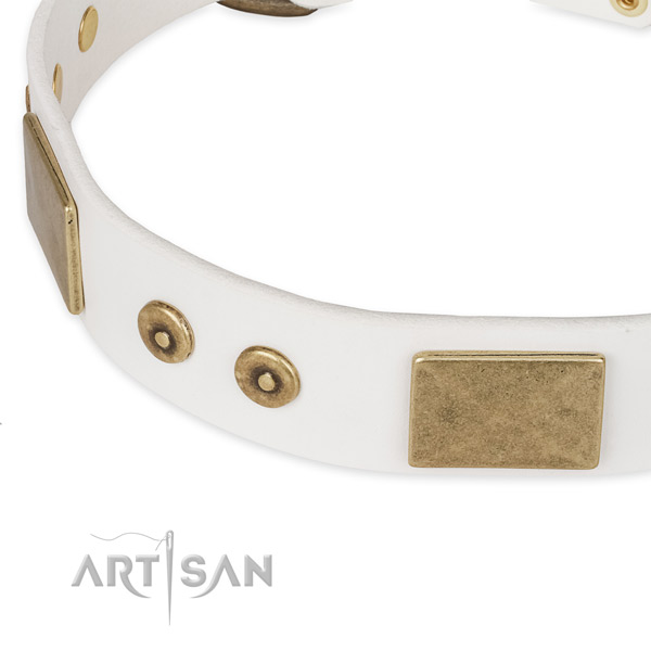 Strong decorations on genuine leather dog collar for your four-legged friend