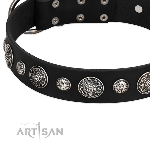 Full grain genuine leather collar with corrosion proof fittings for your stylish four-legged friend