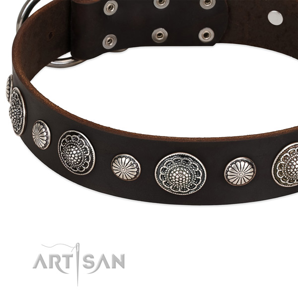 Genuine leather collar with rust-proof D-ring for your handsome pet