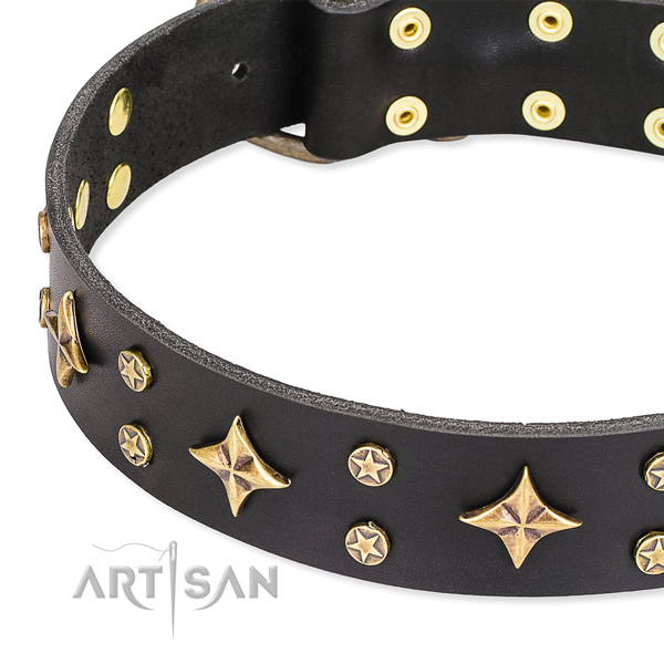 Everyday walking embellished dog collar of finest quality full grain leather