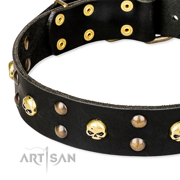 Walking decorated dog collar of quality genuine leather