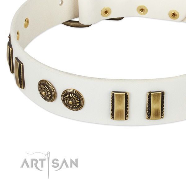 Corrosion proof fittings on full grain natural leather dog collar for your doggie