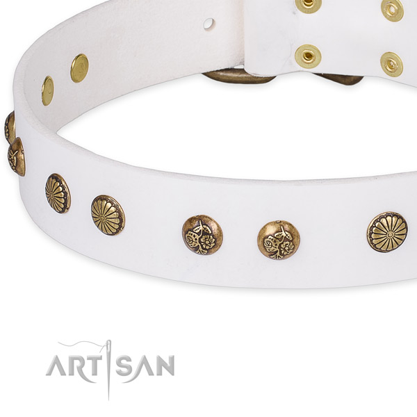 Full grain natural leather collar with rust-proof D-ring for your stylish dog