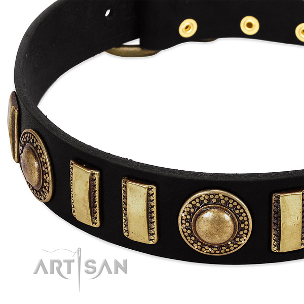 Durable leather dog collar with rust resistant hardware