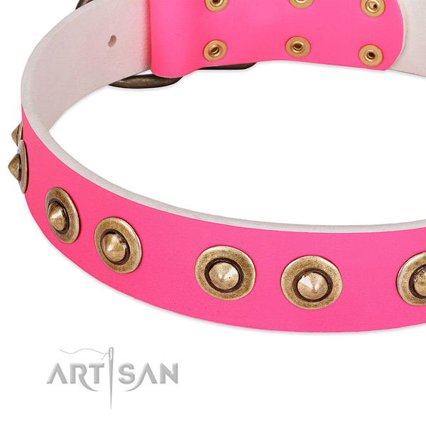 Corrosion proof hardware on genuine leather dog collar for your canine