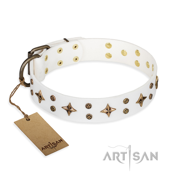 Everyday use dog collar of strong natural leather with studs
