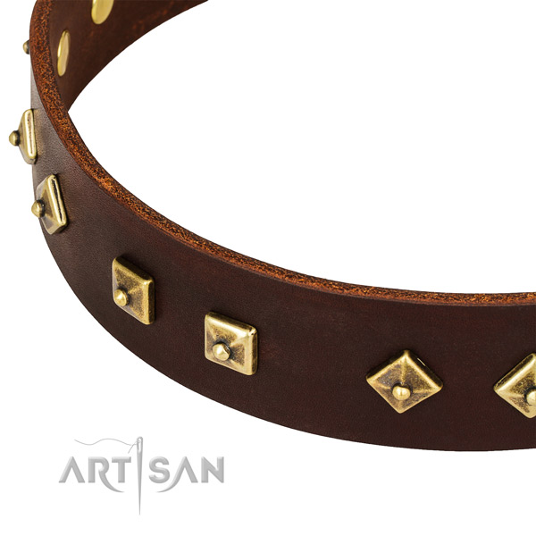 Fine quality genuine leather collar for your handsome doggie
