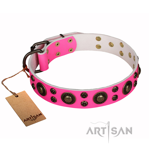 Comfy wearing dog collar of durable genuine leather with studs