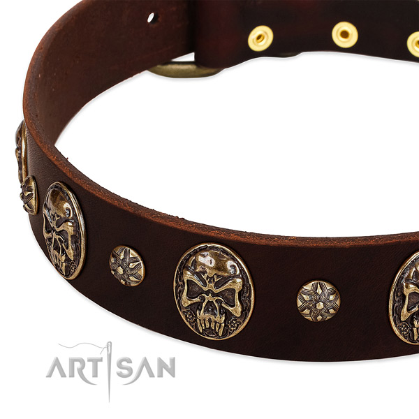 Corrosion proof hardware on full grain genuine leather dog collar for your doggie