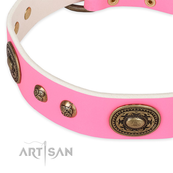 Fashionable full grain natural leather collar for your attractive four-legged friend