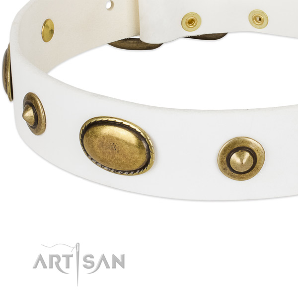 Reliable adornments on full grain genuine leather dog collar for your four-legged friend