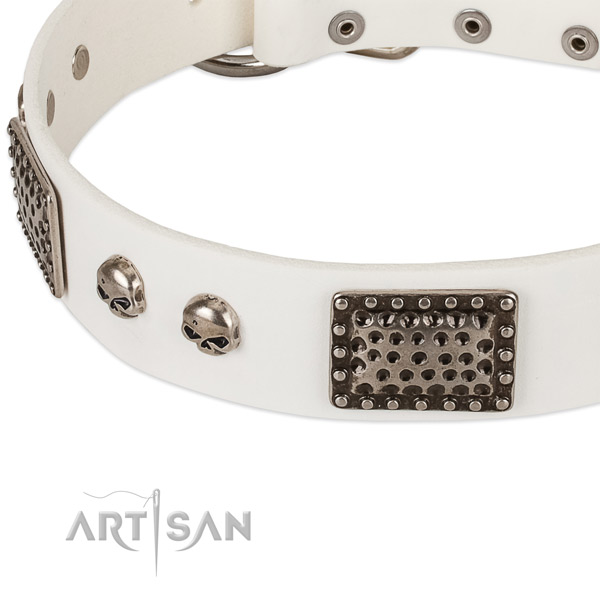 Strong fittings on full grain genuine leather dog collar for your canine