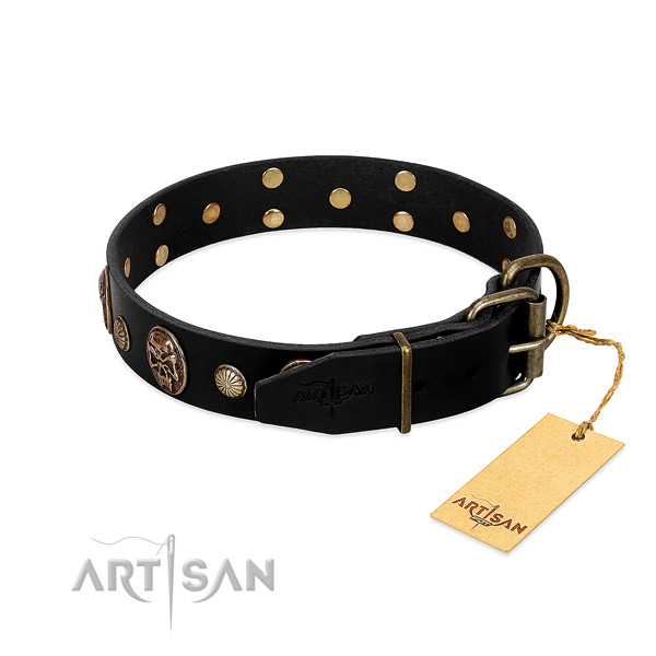 Rust resistant hardware on natural leather collar for stylish walking your dog