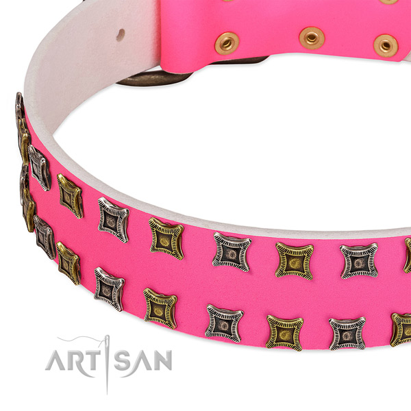 Full grain natural leather dog collar with amazing decorations