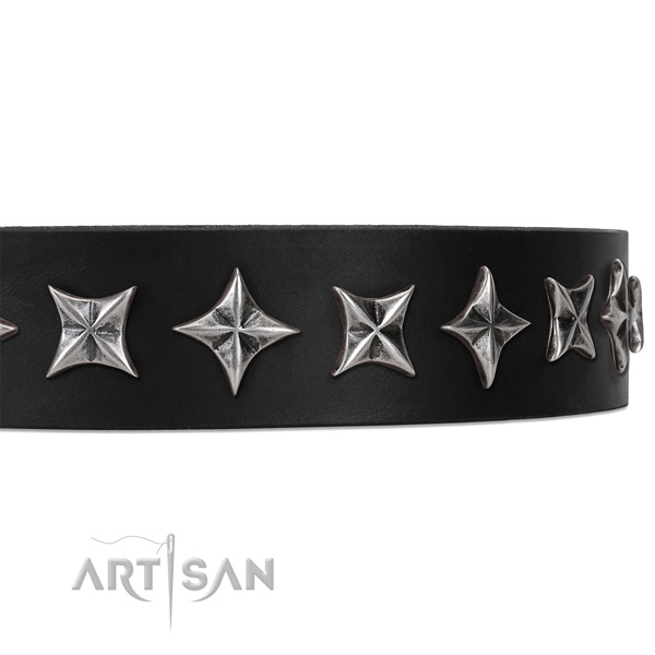 Everyday walking adorned dog collar of quality natural leather