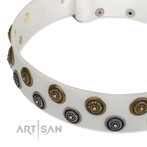Handy use decorated dog collar of durable full grain leather