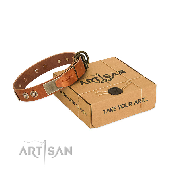Rust resistant fittings on dog collar for basic training