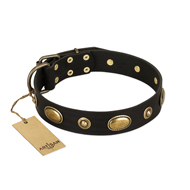 "Eye-Catcher" FDT Artisan Black Leather Golden Retriever Collar for Walking in Style
