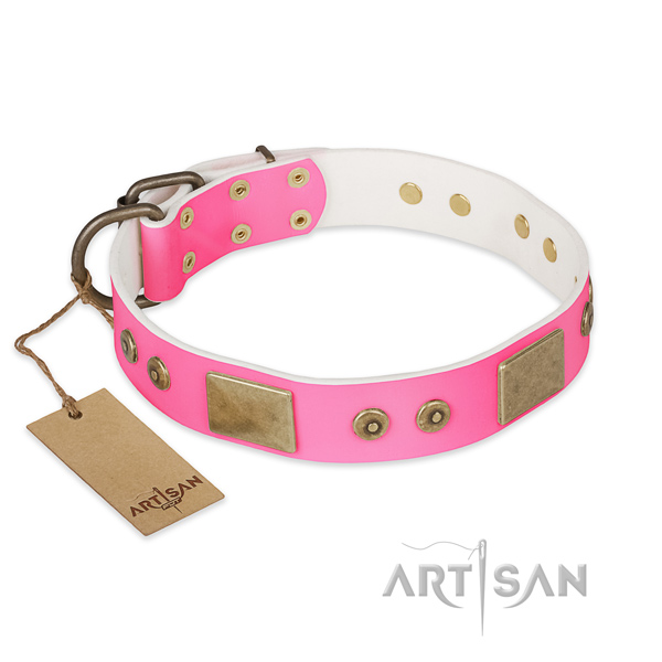Easy to adjust leather dog collar for basic training your four-legged friend