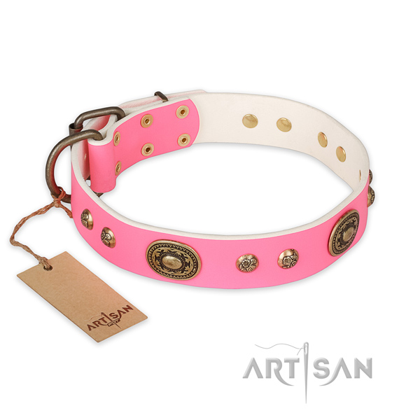 Top quality full grain leather dog collar for everyday walking