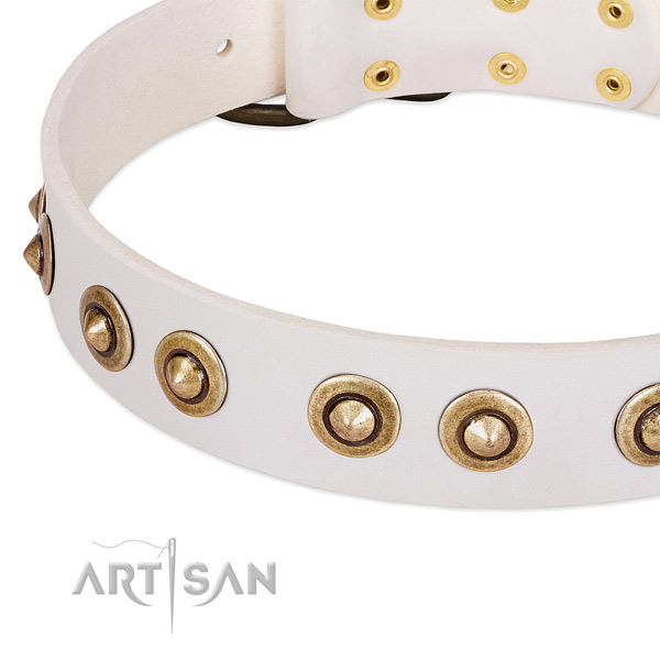 Rust resistant traditional buckle on natural leather dog collar for your four-legged friend
