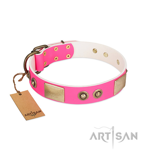 Rust-proof studs on genuine leather dog collar for your canine