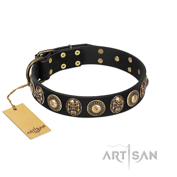 Easy to adjust leather dog collar for everyday walking your four-legged friend