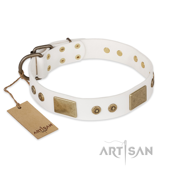 Top quality full grain leather dog collar for daily use