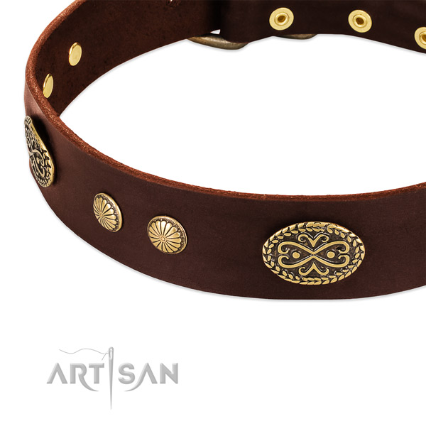 Corrosion proof studs on full grain natural leather dog collar for your doggie