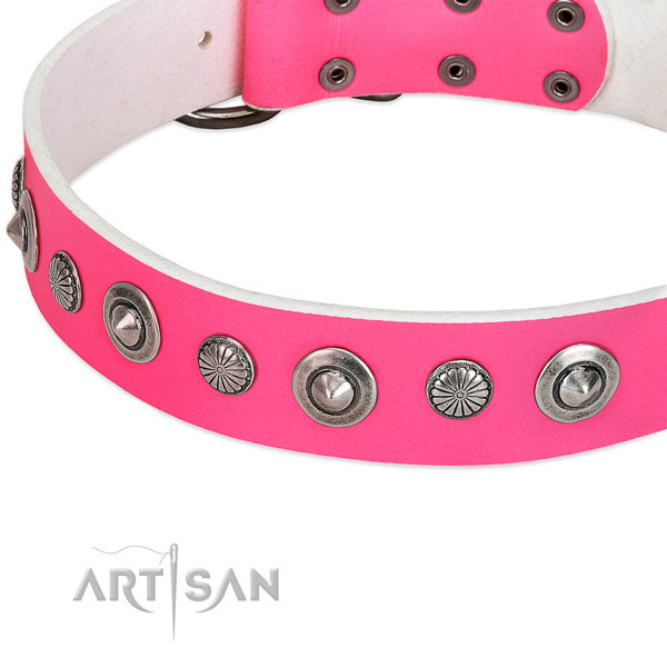 Full grain natural leather collar with corrosion resistant hardware for your impressive dog
