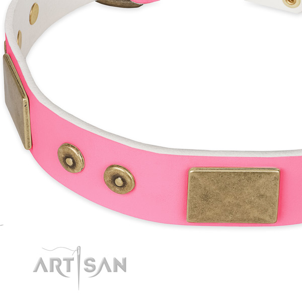 Leather dog collar with studs for daily use