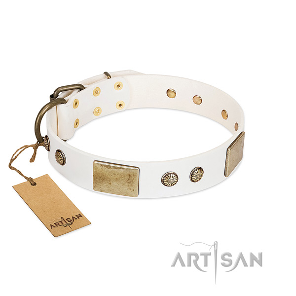 Easy wearing genuine leather dog collar for everyday walking your doggie