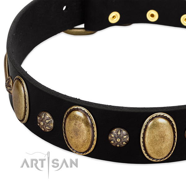 Daily walking quality full grain genuine leather dog collar